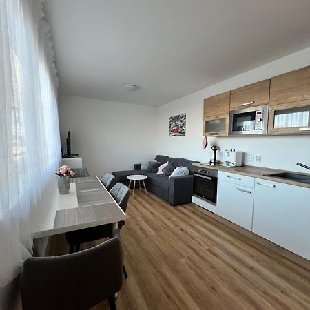 Apartman Roda2 Male Lipno Černá v Pošumaví Kültér fotó